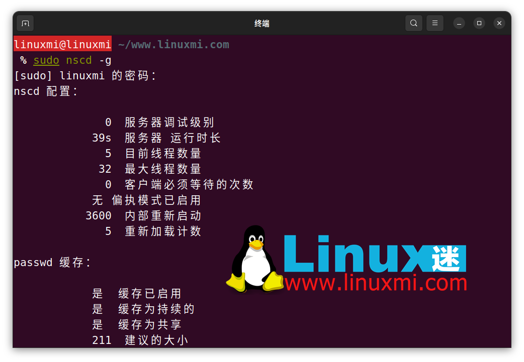 怎样在 Linux 上审查和刷新 DNS 缓存